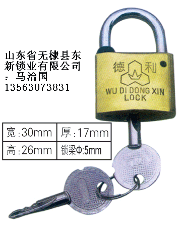 30mm十字表箱掛鎖,廠家低價銷售通開掛鎖,農(nóng)網(wǎng)電力通開表箱鎖